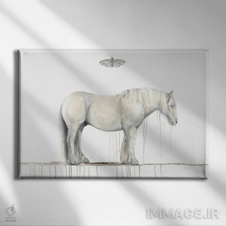 تابلو اسب خاکستری و شاپرک اثر امیلی رید - نمای روبهرو روی دیوار