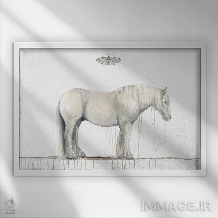 تابلو اسب خاکستری و شاپرک اثر امیلی رید - نمای قابدار سفید