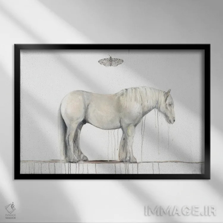 تابلو اسب خاکستری و شاپرک اثر امیلی رید - نمای قابدار مشکی