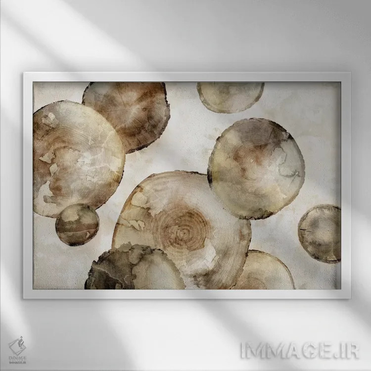 تابلو حلقههای تنه درخت اثر ادوارد سلکرک - نمای قابدار سفید