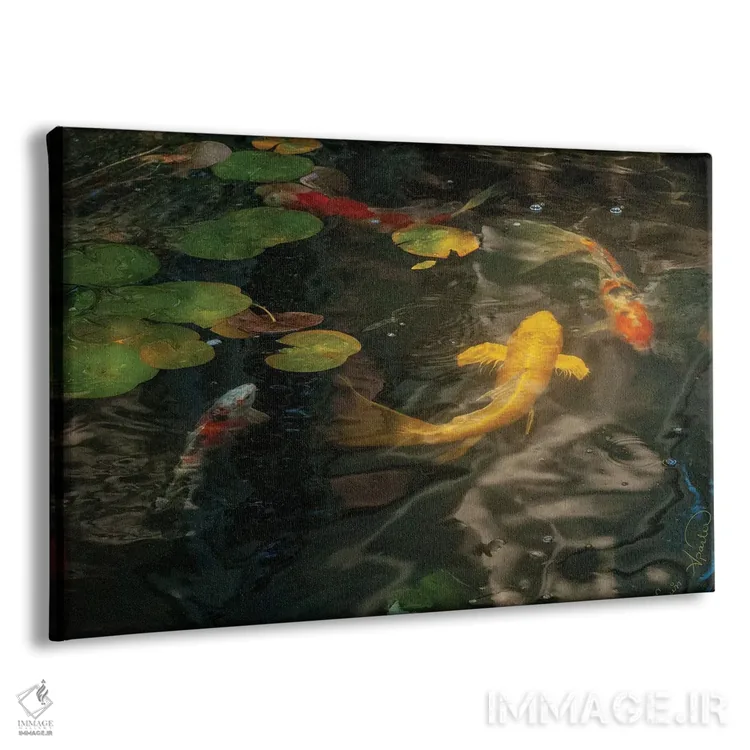تابلو کوی طلایی و کالیکو (ماهی تزئینی ژاپنی) اثر ارین اسپارلر - نمای پرسپکتیو محصول