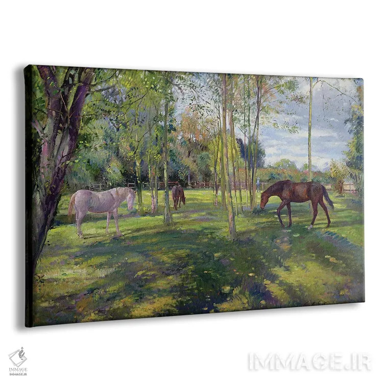 تابلو در مرتع خانه کشیش، ۱۹۹۳ اثر تیموتی ایستون - نمای پرسپکتیو محصول