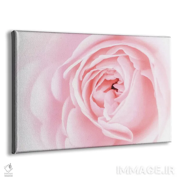 تابلو شکوفههای صورتی زیبا اول اثر اوا بانی - نمای پرسپکتیو محصول