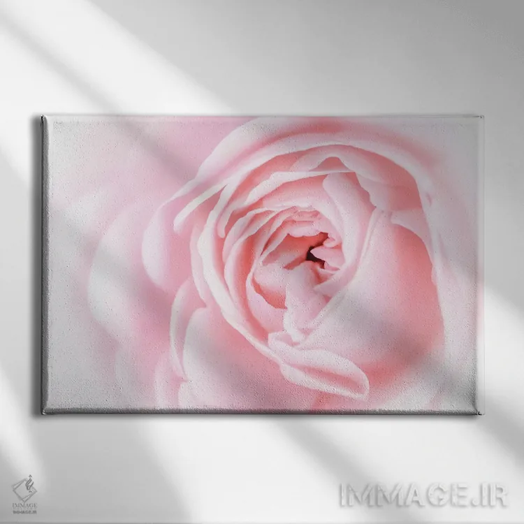 تابلو شکوفههای صورتی زیبا اول اثر اوا بانی - نمای روبهرو روی دیوار