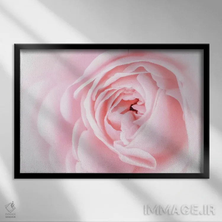 تابلو شکوفههای صورتی زیبا اول اثر اوا بانی - نمای قابدار مشکی