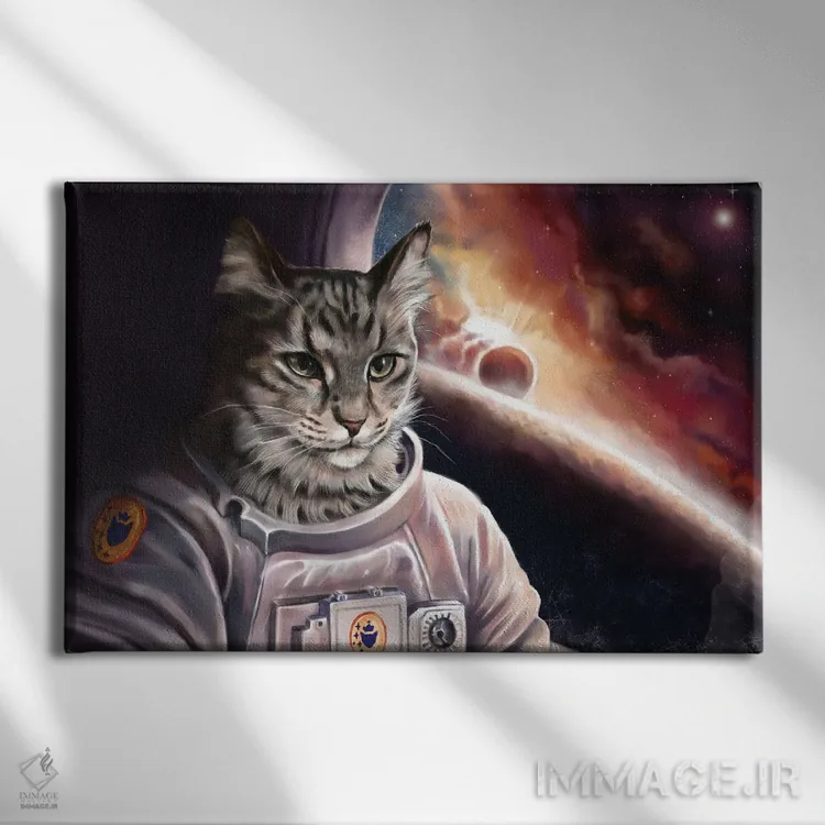 تابلو ماموریت اثر آناستازیا اِوگرافوا - نمای روبهرو روی دیوار