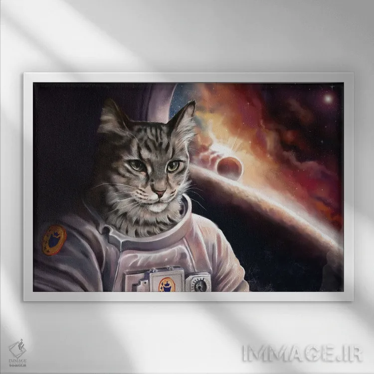 تابلو ماموریت اثر آناستازیا اِوگرافوا - نمای قابدار سفید