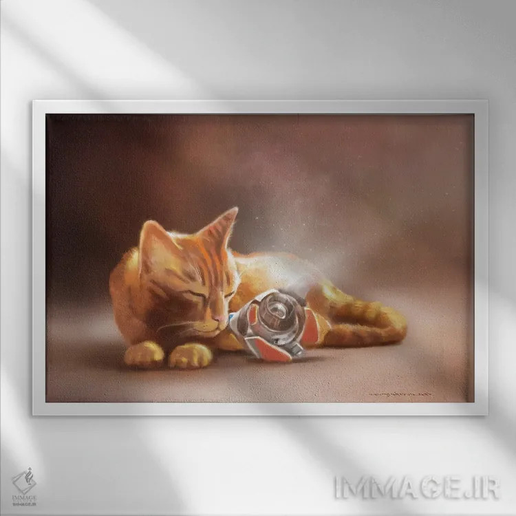 تابلو خداحافظ B-12 (نام خاص) اثر آناستازیا اِوگرافوا - نمای قابدار سفید