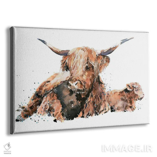 تابلو گاو کوهستانی اسکاتلندی اثر ادز واترکالرز (برند نقاشی آبرنگ) - نمای پرسپکتیو محصول