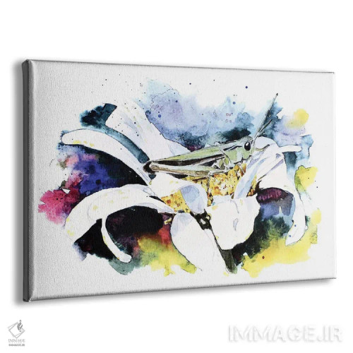 تابلو ملخ اثر ادز واترکالرز (برند نقاشی آبرنگ) - نمای پرسپکتیو محصول