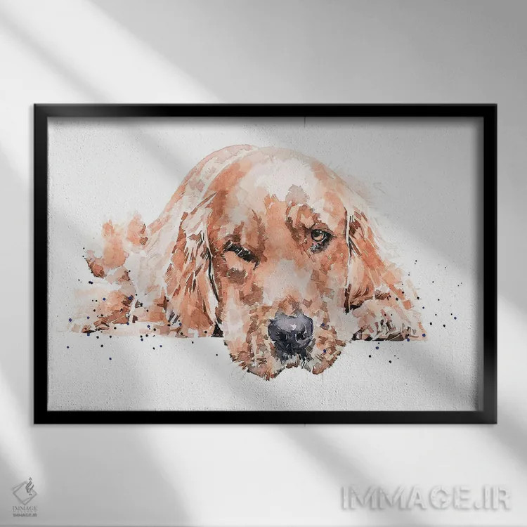 تابلو گلدن رتریور در حال استراحت ۱ اثر ادز واترکالرز (برند نقاشی آبرنگ) - نمای قابدار مشکی