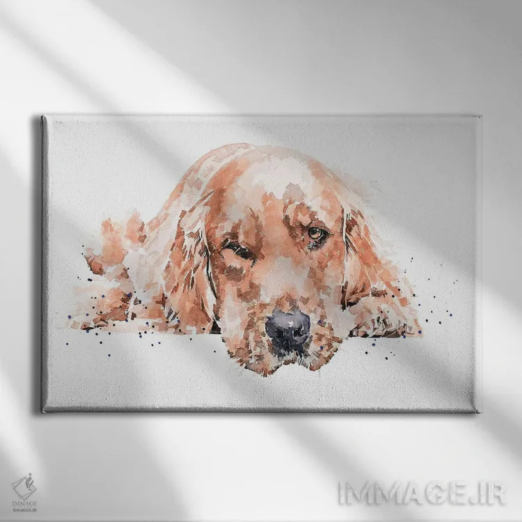 تابلو گلدن رتریور در حال استراحت ۱ اثر ادز واترکالرز (برند نقاشی آبرنگ) - نمای روبهرو روی دیوار