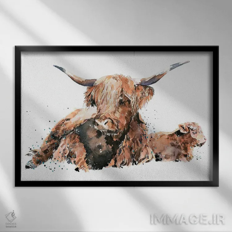 تابلو گاو کوهستانی اسکاتلندی اثر ادز واترکالرز (برند نقاشی آبرنگ) - نمای قابدار مشکی