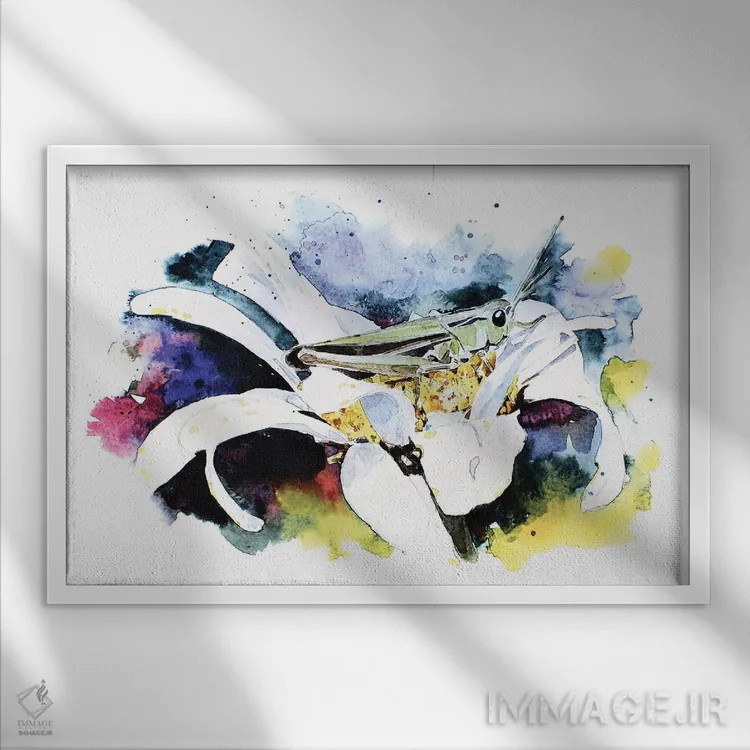 تابلو ملخ اثر ادز واترکالرز (برند نقاشی آبرنگ) - نمای قابدار سفید