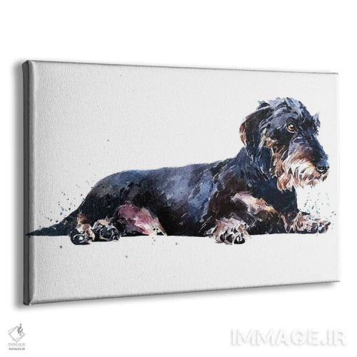 تابلو آرام باش و به سبک داشوند مو سیمی استراحت کن اثر ادز واترکالرز (برند نقاشی آبرنگ) - نمای پرسپکتیو محصول