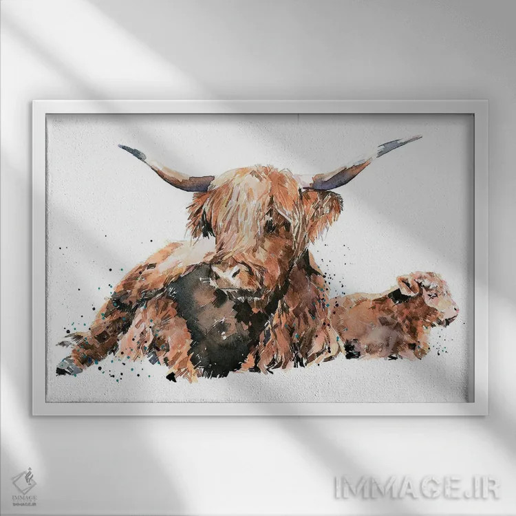 تابلو گاو کوهستانی اسکاتلندی اثر ادز واترکالرز (برند نقاشی آبرنگ) - نمای قابدار سفید