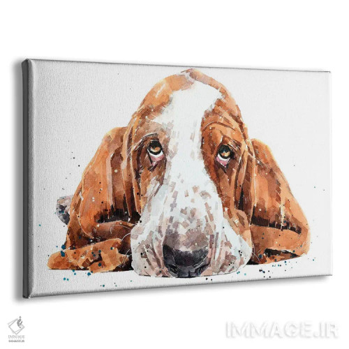 تابلو سگ باست (نژاد سگ) اثر ادز واترکالرز (برند نقاشی آبرنگ) - نمای پرسپکتیو محصول