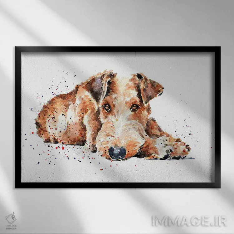 تابلو تِریِر ایرلندی ۱ اثر ادز واترکالرز (برند نقاشی آبرنگ) - نمای قابدار مشکی