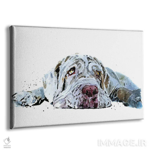 تابلو عشق توله ناپولیتن ماستیف اثر ادز واترکالرز (برند نقاشی آبرنگ) - نمای پرسپکتیو محصول
