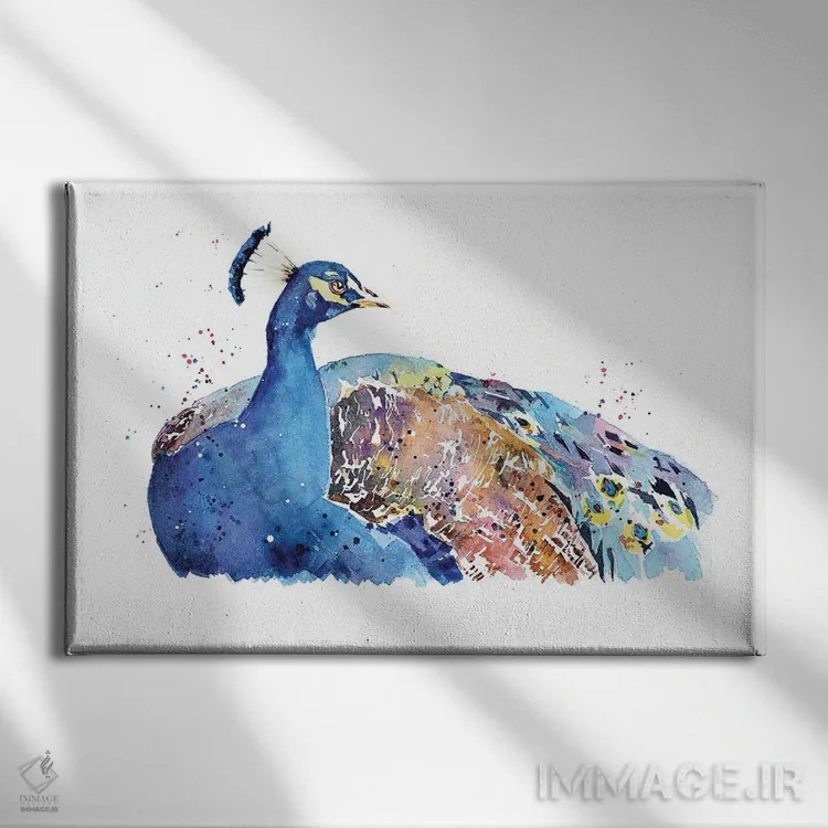 تابلو طاووس اثر ادز واترکالرز (برند نقاشی آبرنگ) - نمای روبهرو روی دیوار