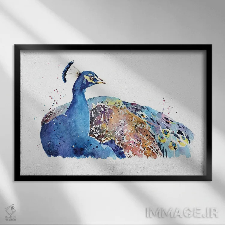 تابلو طاووس اثر ادز واترکالرز (برند نقاشی آبرنگ) - نمای قابدار مشکی