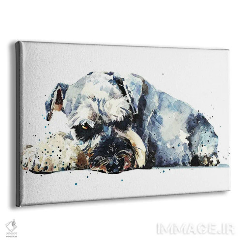 تابلو اشناوزر ۱ (نژاد سگ) اثر ادز واترکالرز (برند نقاشی آبرنگ) - نمای پرسپکتیو محصول