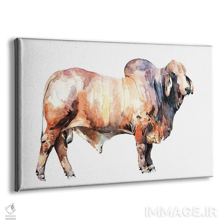 تابلو گاو براهمن تگزاسی اثر ادز واترکالرز (برند نقاشی آبرنگ) - نمای پرسپکتیو محصول