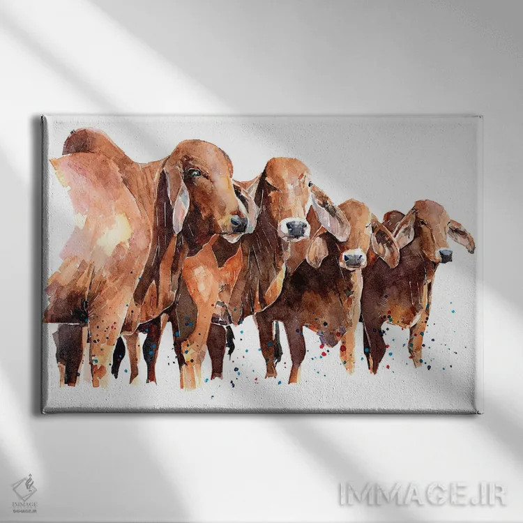 تابلو گاوهای براهمن تگزاسی اثر ادز واترکالرز (برند نقاشی آبرنگ) - نمای روبهرو روی دیوار