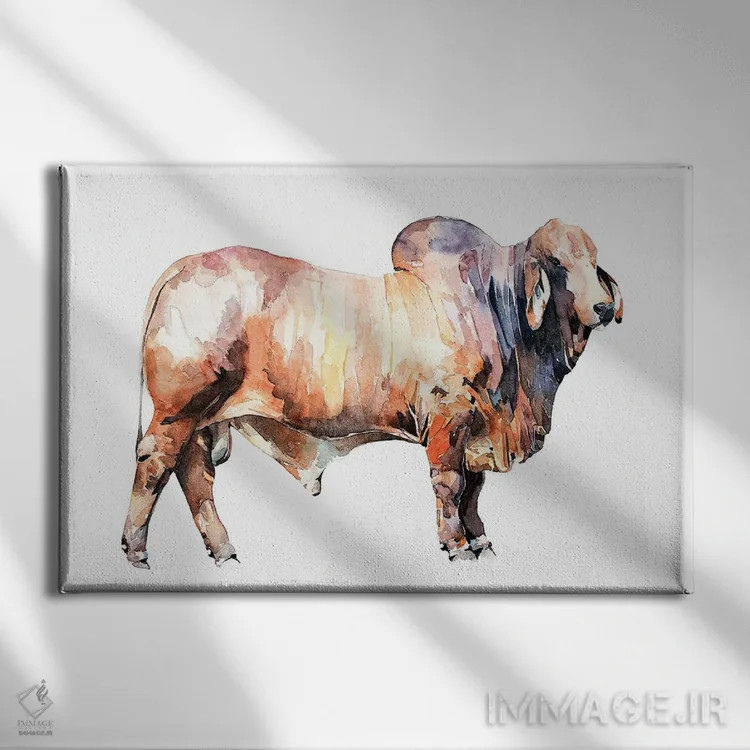 تابلو گاو براهمن تگزاسی اثر ادز واترکالرز (برند نقاشی آبرنگ) - نمای روبهرو روی دیوار