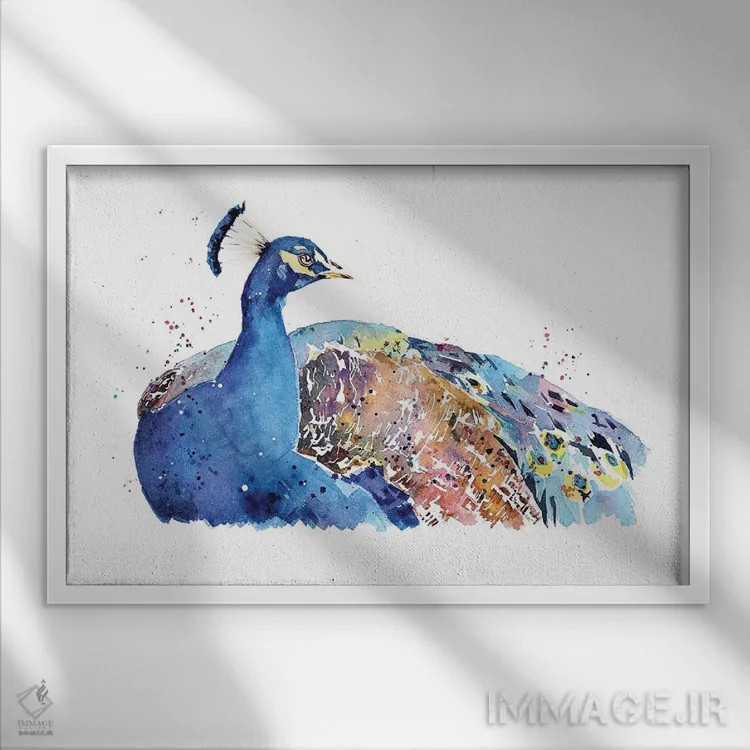 تابلو طاووس اثر ادز واترکالرز (برند نقاشی آبرنگ) - نمای قابدار سفید