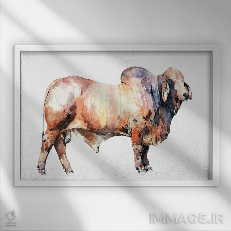 تابلو گاو براهمن تگزاسی اثر ادز واترکالرز (برند نقاشی آبرنگ) - نمای قابدار سفید