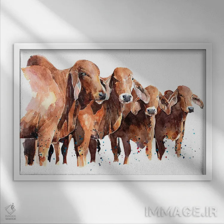 تابلو گاوهای براهمن تگزاسی اثر ادز واترکالرز (برند نقاشی آبرنگ) - نمای قابدار سفید