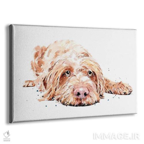 تابلو ویز سیمی (ویزسلا با موهای سیمی) اثر ادز واترکالرز (برند نقاشی آبرنگ) - نمای پرسپکتیو محصول