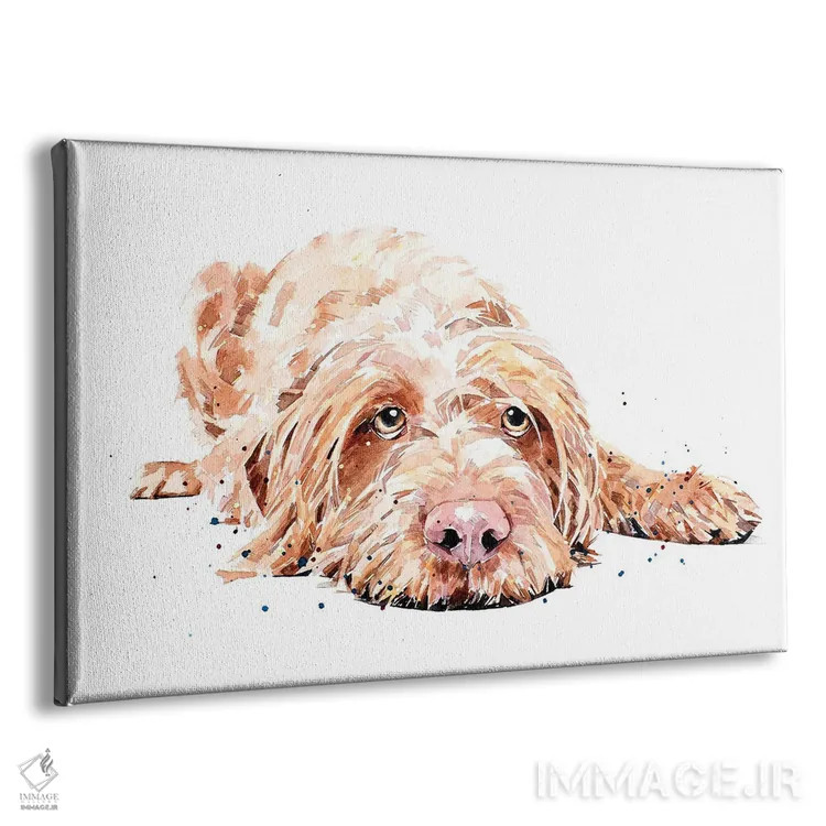 تابلو ویز سیمی (ویزسلا با موهای سیمی) اثر ادز واترکالرز (برند نقاشی آبرنگ) - نمای پرسپکتیو محصول