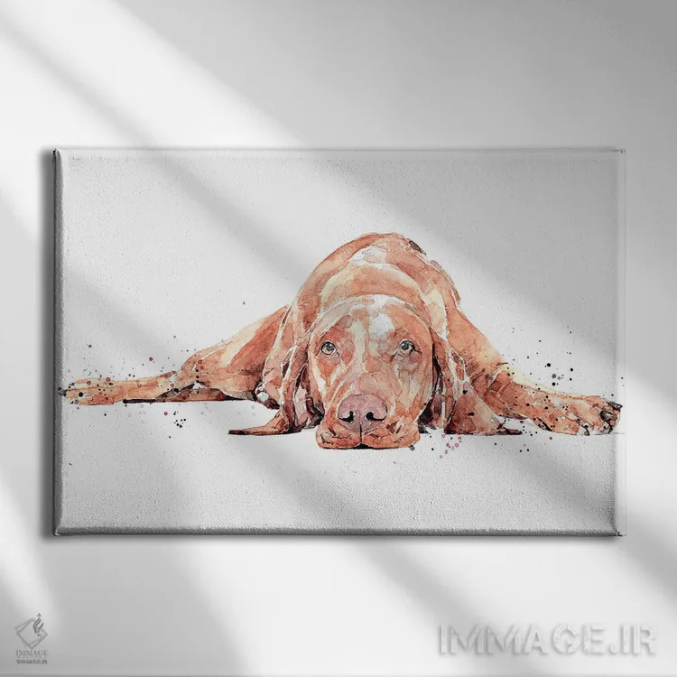 تابلو ویزسلا در حال دویدن کامل (نژاد سگ) اثر ادز واترکالرز (برند نقاشی آبرنگ) - نمای روبهرو روی دیوار