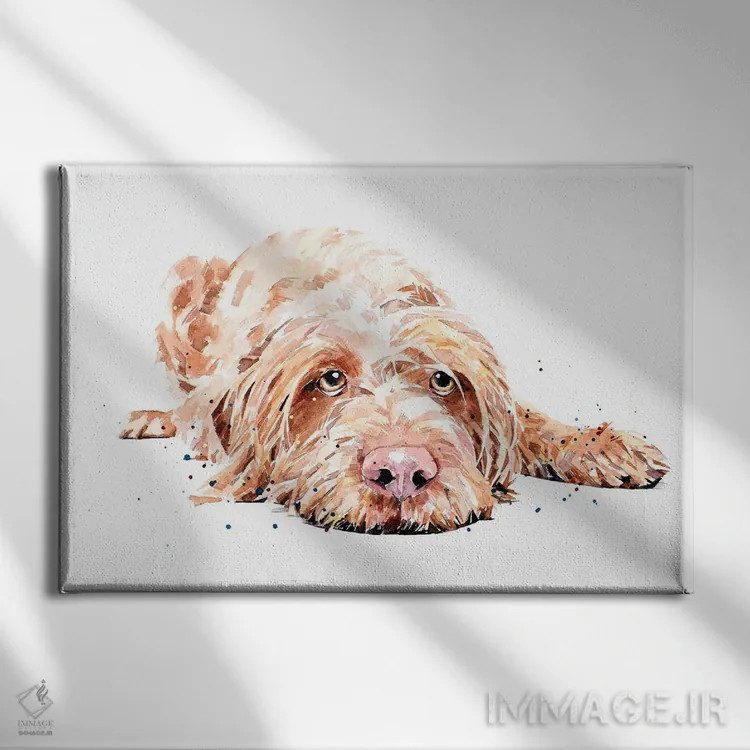 تابلو ویز سیمی (ویزسلا با موهای سیمی) اثر ادز واترکالرز (برند نقاشی آبرنگ) - نمای روبهرو روی دیوار