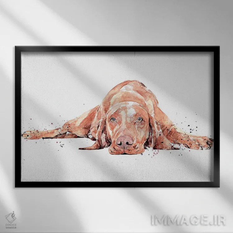 تابلو ویزسلا در حال دویدن کامل (نژاد سگ) اثر ادز واترکالرز (برند نقاشی آبرنگ) - نمای قابدار مشکی