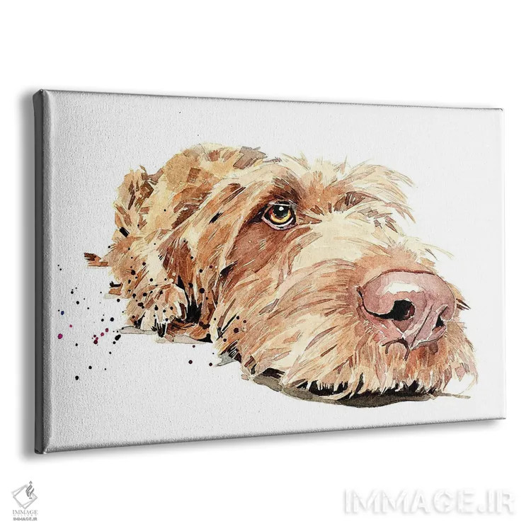 تابلو ویز سیمی II (ویزسلا با موهای سیمی) اثر ادز واترکالرز (برند نقاشی آبرنگ) - نمای پرسپکتیو محصول