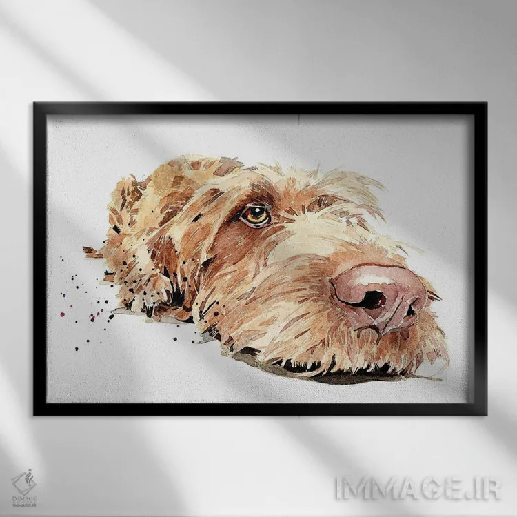 تابلو ویز سیمی II (ویزسلا با موهای سیمی) اثر ادز واترکالرز (برند نقاشی آبرنگ) - نمای قابدار مشکی