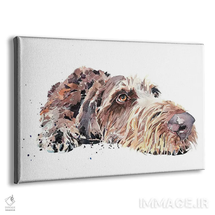 تابلو پوینتر آلمانی مو سیمی (نژاد سگ) اثر ادز واترکالرز (برند نقاشی آبرنگ) - نمای پرسپکتیو محصول