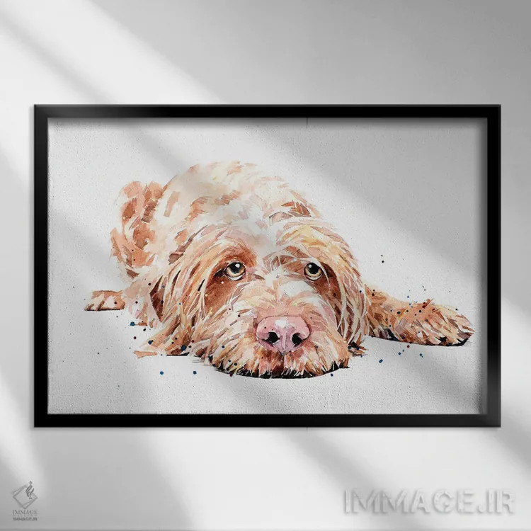 تابلو ویز سیمی (ویزسلا با موهای سیمی) اثر ادز واترکالرز (برند نقاشی آبرنگ) - نمای قابدار مشکی