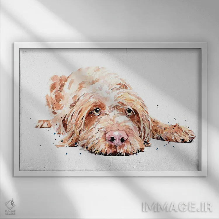 تابلو ویز سیمی (ویزسلا با موهای سیمی) اثر ادز واترکالرز (برند نقاشی آبرنگ) - نمای قابدار سفید