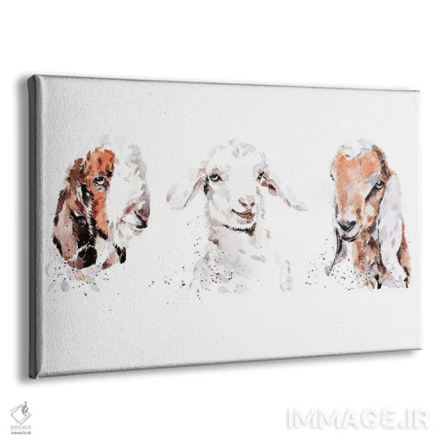 تابلو بچه بزهای بوئر، سانه، و نوبی: سه پادشاه اثر ادز واترکالرز (برند نقاشی آبرنگ) - نمای پرسپکتیو محصول