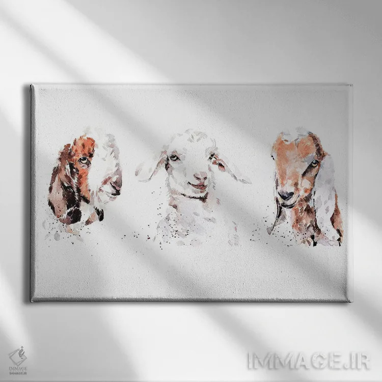تابلو بچه بزهای بوئر، سانه، و نوبی: سه پادشاه اثر ادز واترکالرز (برند نقاشی آبرنگ) - نمای روبهرو روی دیوار