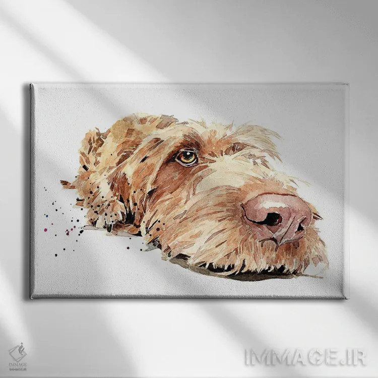 تابلو ویز سیمی II (ویزسلا با موهای سیمی) اثر ادز واترکالرز (برند نقاشی آبرنگ) - نمای روبهرو روی دیوار