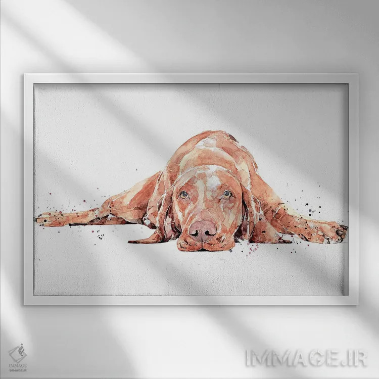 تابلو ویزسلا در حال دویدن کامل (نژاد سگ) اثر ادز واترکالرز (برند نقاشی آبرنگ) - نمای قابدار سفید