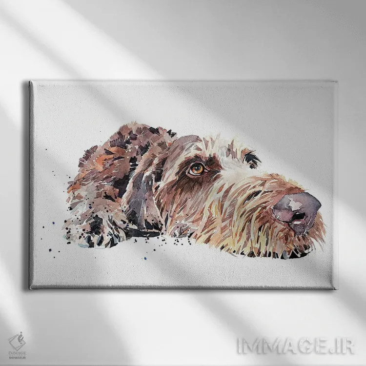 تابلو پوینتر آلمانی مو سیمی (نژاد سگ) اثر ادز واترکالرز (برند نقاشی آبرنگ) - نمای روبهرو روی دیوار
