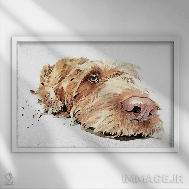 تابلو ویز سیمی II (ویزسلا با موهای سیمی) اثر ادز واترکالرز (برند نقاشی آبرنگ) - نمای قابدار سفید