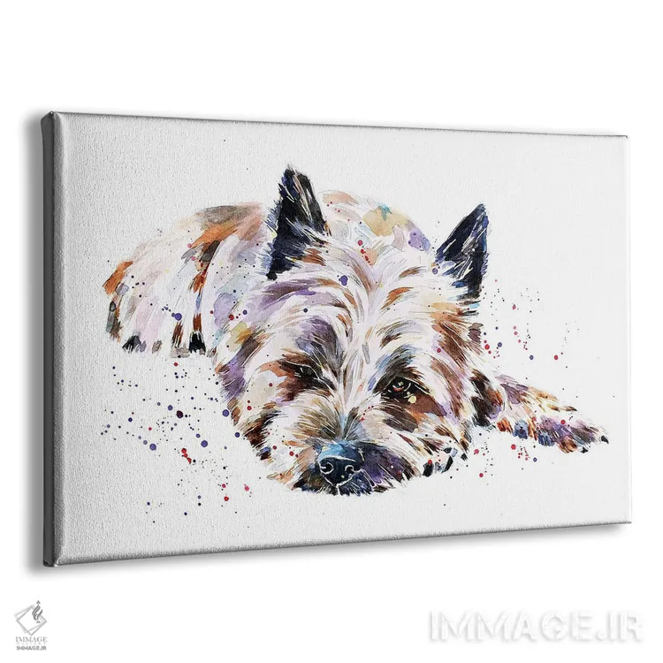 تابلو کرن تریر I (نژاد سگ) اثر ادز واترکالرز (برند نقاشی آبرنگ) - نمای پرسپکتیو محصول