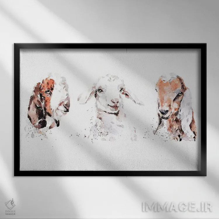 تابلو بچه بزهای بوئر، سانه، و نوبی: سه پادشاه اثر ادز واترکالرز (برند نقاشی آبرنگ) - نمای قابدار مشکی